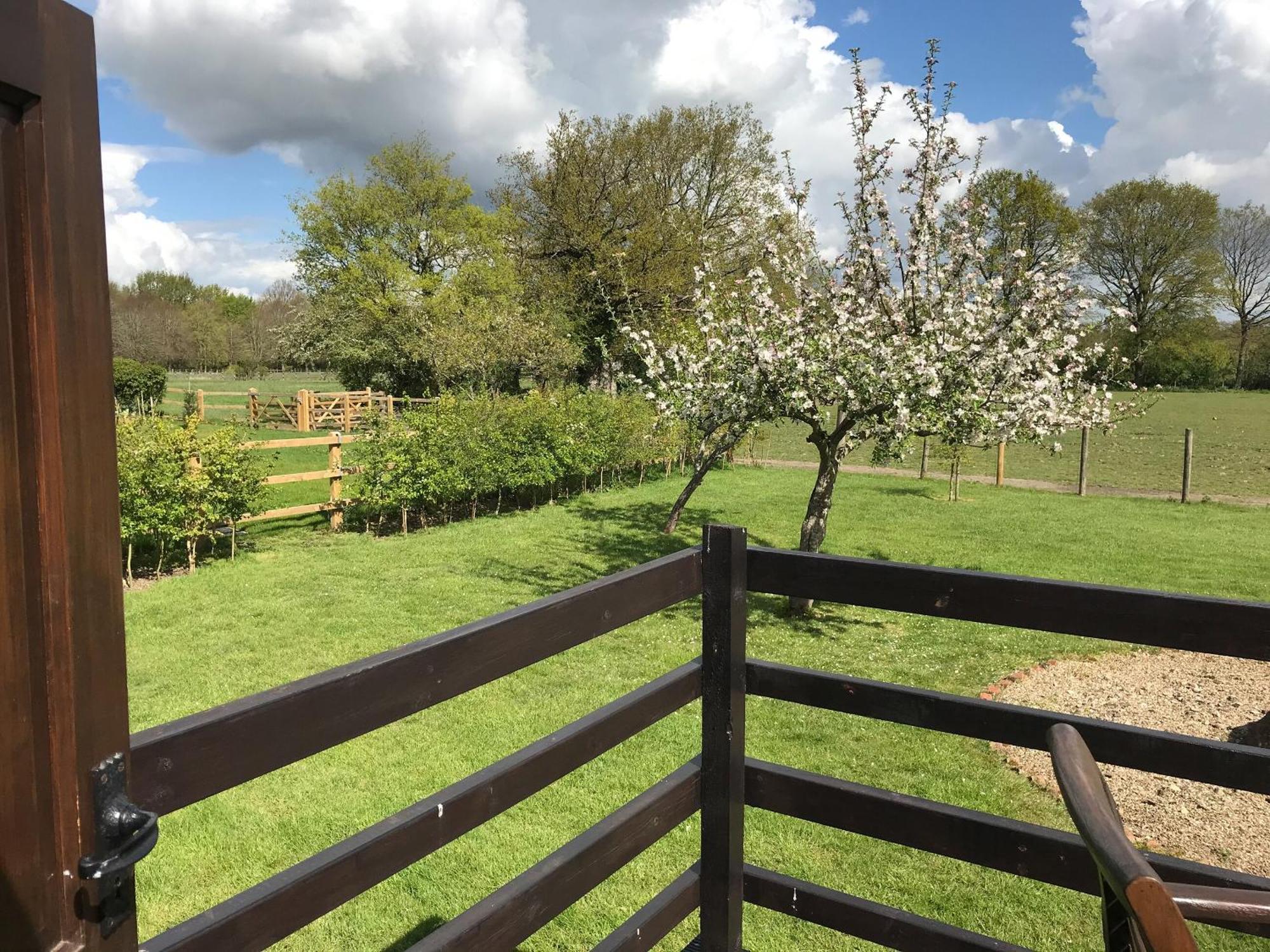 Maplehurst Barn Stables Staplehurst المظهر الخارجي الصورة