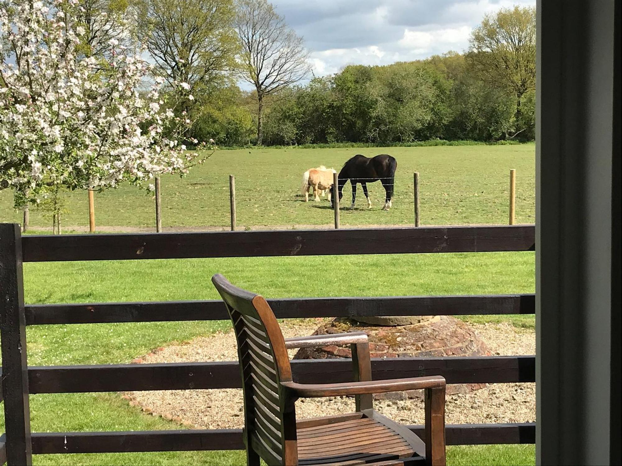Maplehurst Barn Stables Staplehurst المظهر الخارجي الصورة